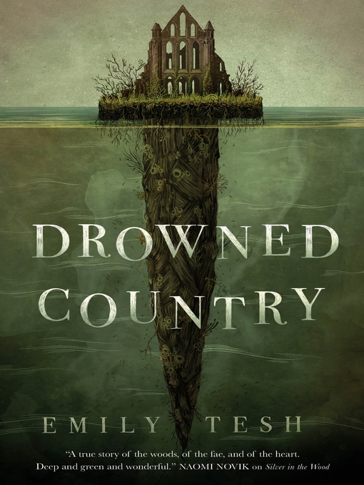 Cover image for Drowned Country